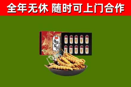 西区烟酒回收冬虫夏草礼盒.jpg
